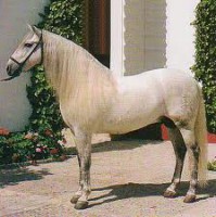 /album/fotogaleria/a1-espa-jpg/